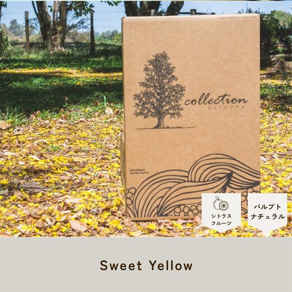 ブラジル　ダテーラ農園(RA認証)　Sweet Yellow　24/25クロップ